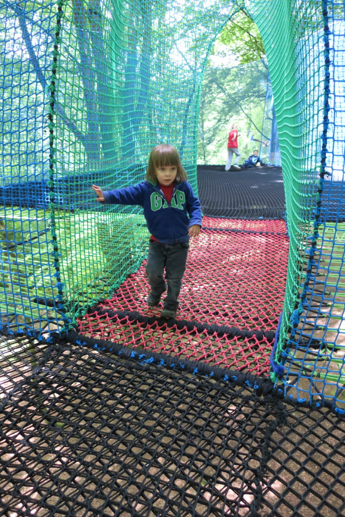 tree top nets